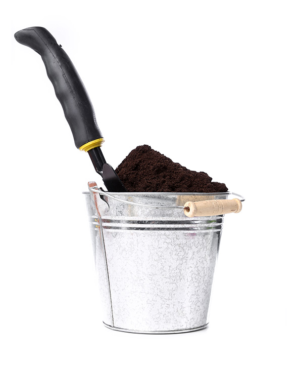 Positionnement Google d’un site web jardin